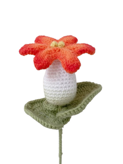 Calla Lily