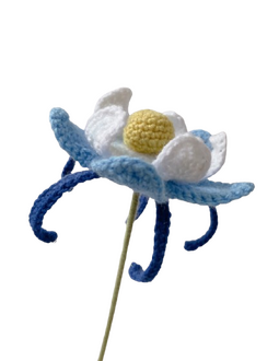 Glaze Lily