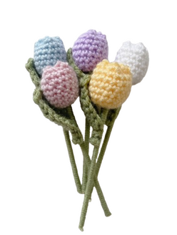 Mini Tulips