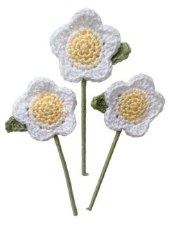 Daisy